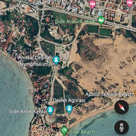 Oregano * سيدي
